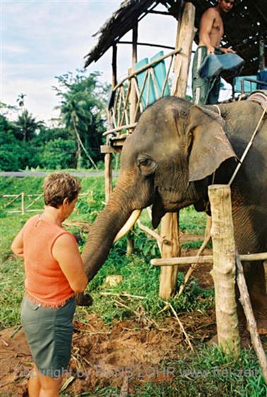 20 Thailand 2002 F1010004 Khao Lak Elefantentrekking 4_478